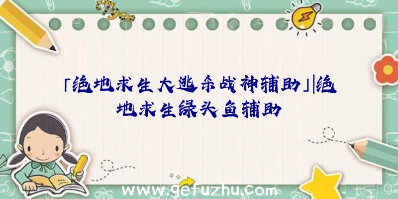 「绝地求生大逃杀战神辅助」|绝地求生绿头鱼辅助